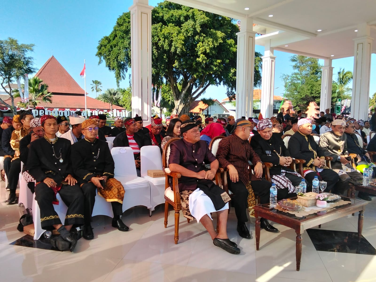 WhatsApp Image 2025 08 15 at 08.02.37